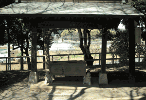 shirumori-2