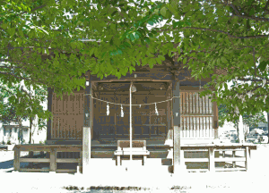 shirumori-5