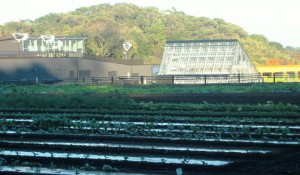 明大・黒川農場 042