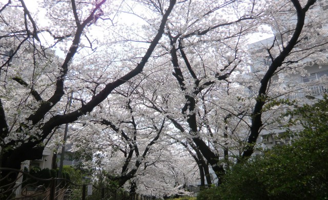 CIMG0948