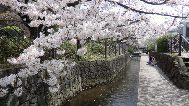 CIMG0967