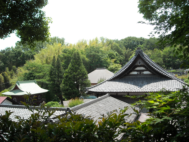 DSCN3217