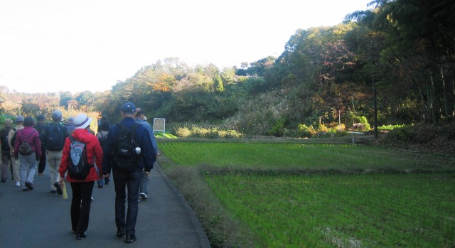 黒川村を歩く 20121118 016