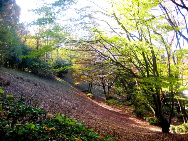 黒川の里山散策(すこやか活動) 050