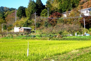 黒川の里山散策(すこやか活動) 008