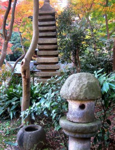 秋の三景園20131203 175