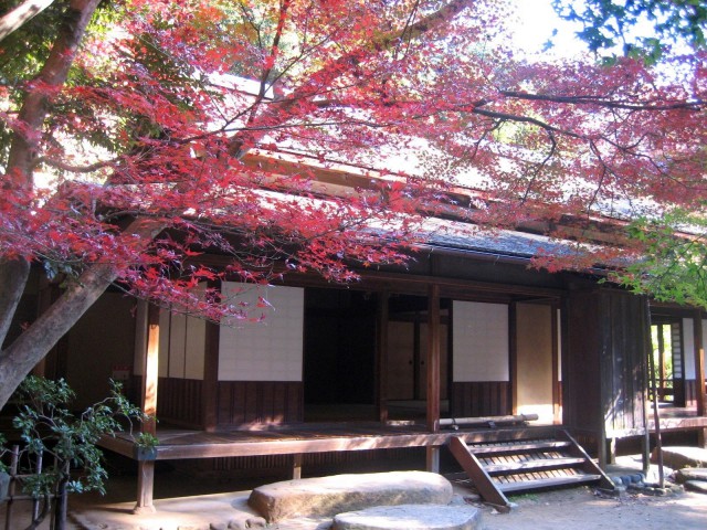 秋の三景園20131203 164