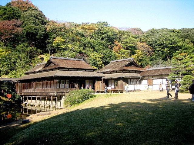 秋の三景園20131203 061