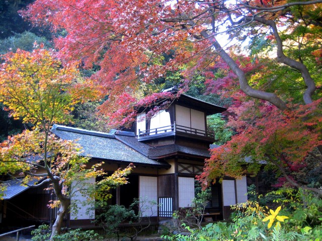秋の三景園20131203 180