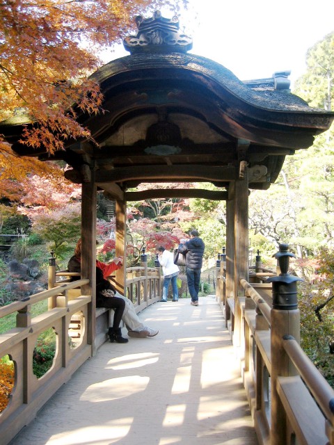 秋の三景園20131203 116