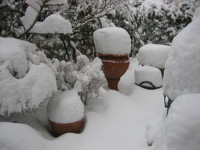 雪の庭② 001