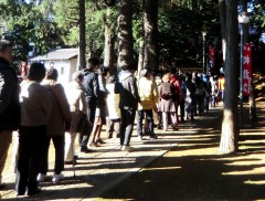 白鳥神社 054